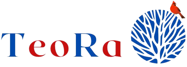 logo transparent Teora